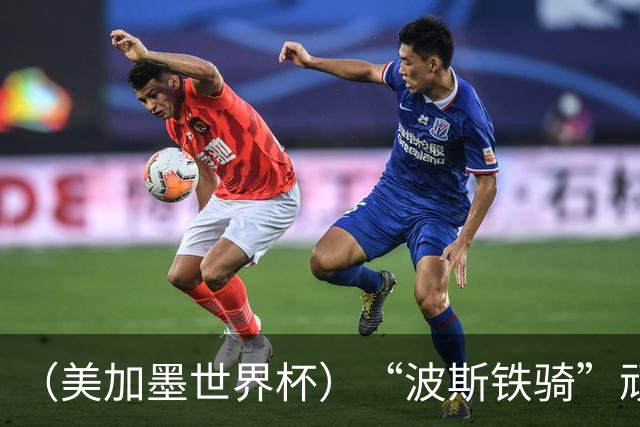 （美加墨世界杯）“波斯铁骑”顽强两连平 伊朗队期待更进一步